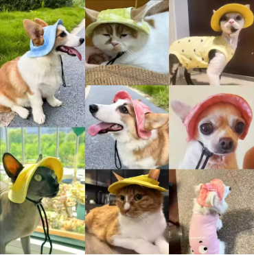 Pet Hat