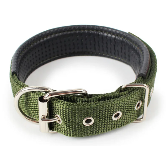 Pet Collar