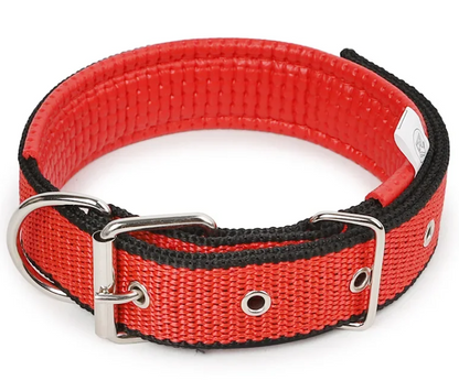 Pet Collar