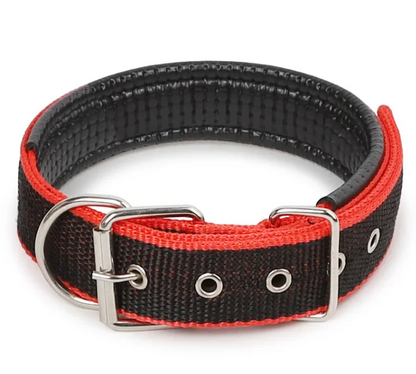 Pet Collar