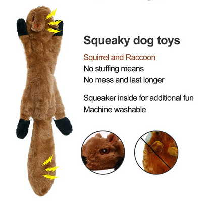 Pet Toy