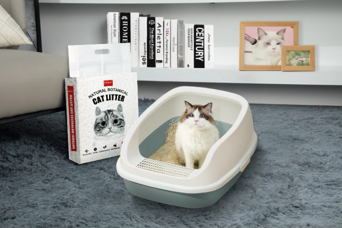 Cat Litter