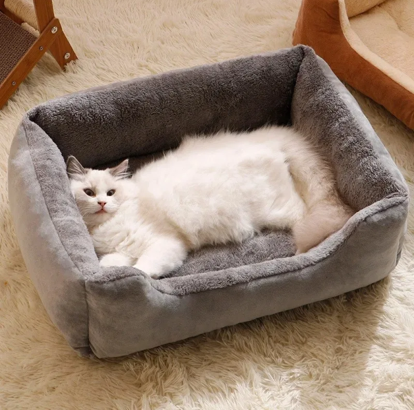 Pet Soft Bed